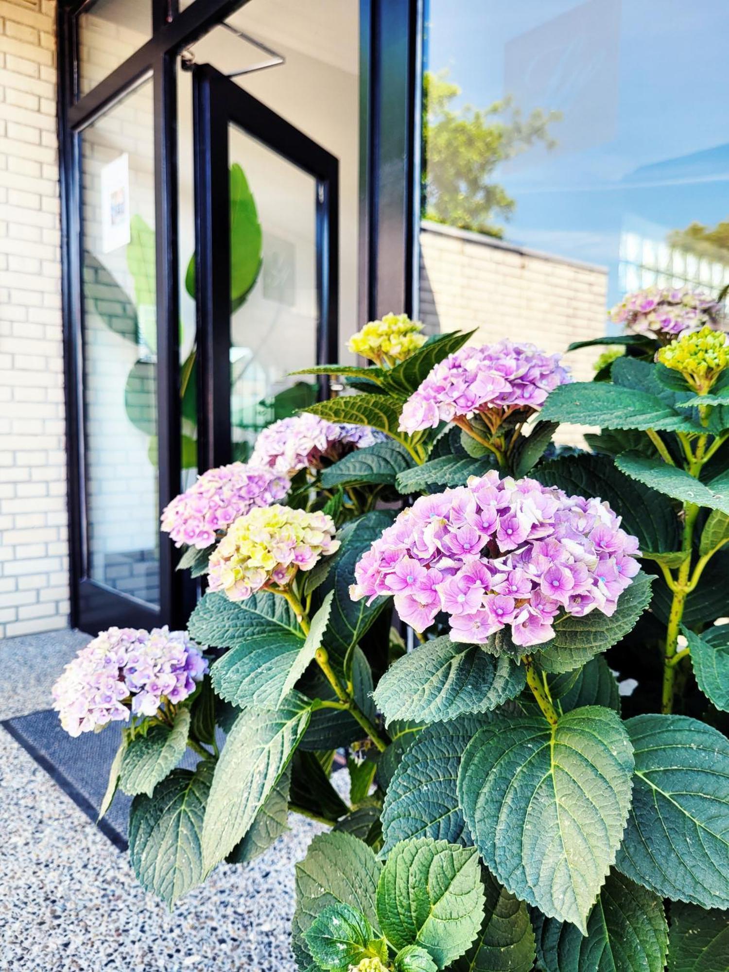 שרבאוץ Nur 7 Gehminuten Zum Strand, Sehr Hochwertige Ferienwohnung Mit Terrasse In Ruhiger Lage, Inklusive Parkplatz Und Fahrradunterstellplatz Laesst Keine Wuensche Offen מראה חיצוני תמונה